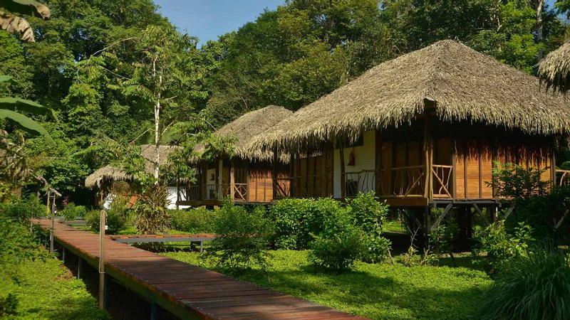 Sacha Lodge en el Parque Nacional Yasuní photo